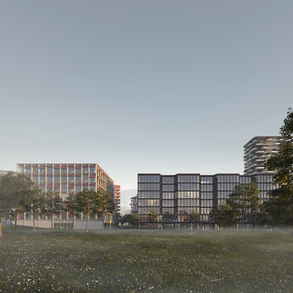 Duplex-Architekten-and-Knorr-&-Pürckhauer-Architekten_Bureaux_01